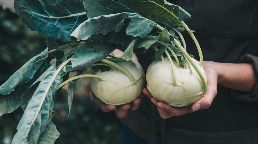 Rezeptbild für Kohlrabi gefüllt mit Spinat, Schafskäse & Schalotten