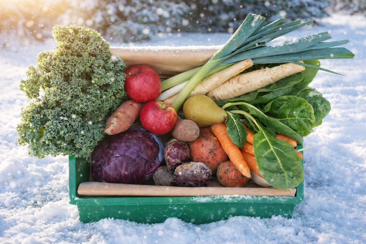 KI generiert: Eine grüne Kiste voller frischem Wintergemüse und Obst im Schnee.