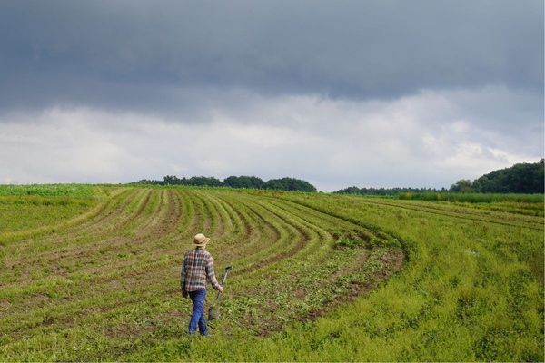KI generiert: Ein Landwirt mit Hut steht auf einem großen Feld unter bewölktem Himmel.
