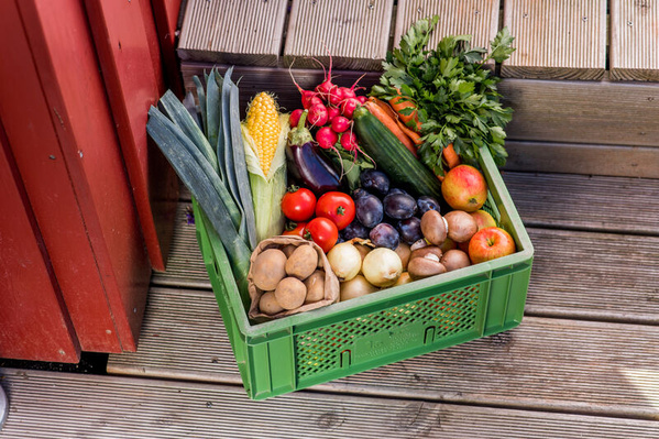KI generiert: Das Bild zeigt zwei Personen in grüner Arbeitskleidung, die lächelnd eine Kiste mit frischem Obst und Gemüse halten. Im Hintergrund sind weitere Kisten mit Tomaten, Äpfeln und Salat zu sehen, was auf ein Lager oder eine Verkaufsstelle für frische Lebensmittel hinweist.