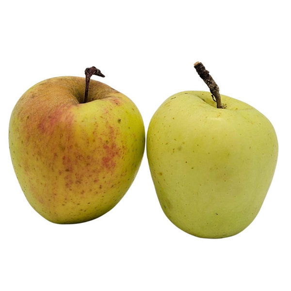 Produktfoto zu Winterglockenapfel