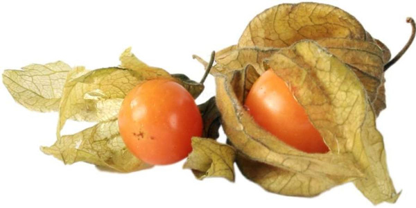 Produktfoto zu Physalis, 100g