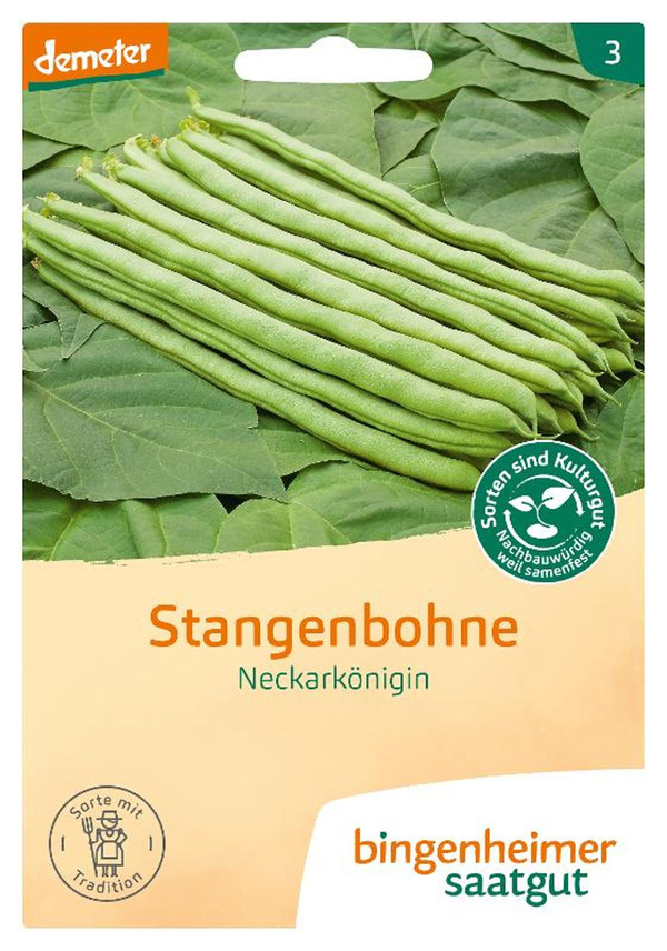 Produktfoto zu Saatgut, Stangenbohne Neckarkönigin