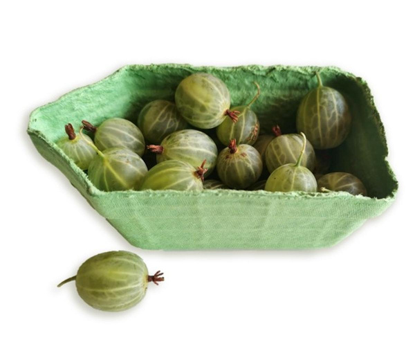 Produktfoto zu Stachelbeeren 125g