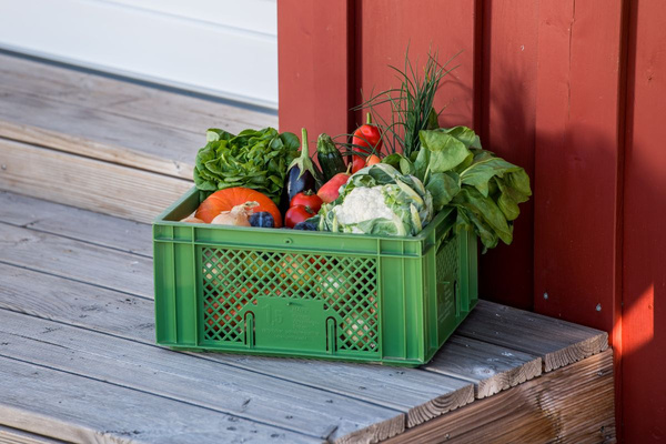 KI generiert: Das Bild zeigt zwei Personen in grüner Arbeitskleidung, die lächelnd eine Kiste mit frischem Obst und Gemüse halten. Im Hintergrund sind weitere Kisten mit Tomaten, Äpfeln und Salat zu sehen, was auf ein Lager oder eine Verkaufsstelle für frische Lebensmittel hinweist.