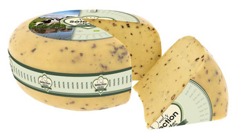 KI generiert: Ein Käselaib mit einer Scheibe geschnitten, Aufschrift: "Selection Organic". 