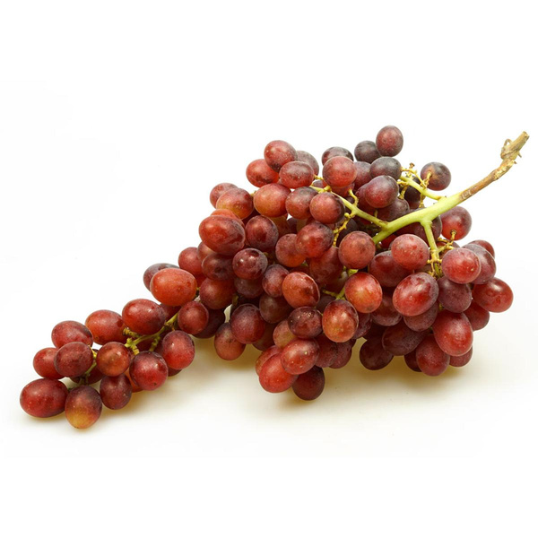 Produktfoto zu kernlose Trauben rot