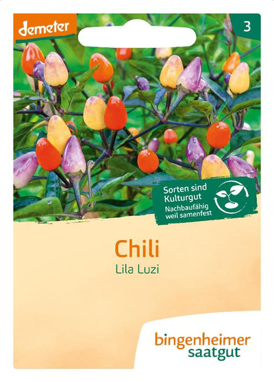 Produktfoto zu Saatgut, Chili Lila Luzi