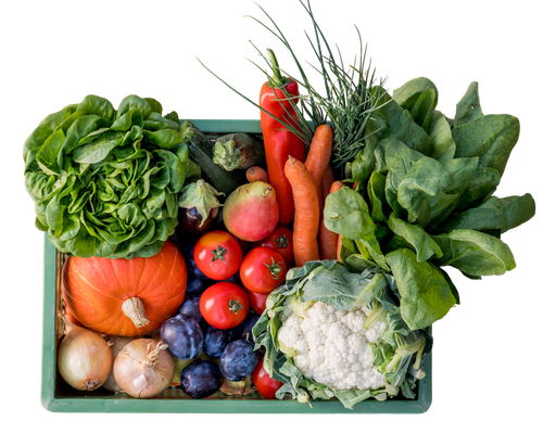 Eine grüne Gemüsekiste mit frischen Bio-Zutaten. 