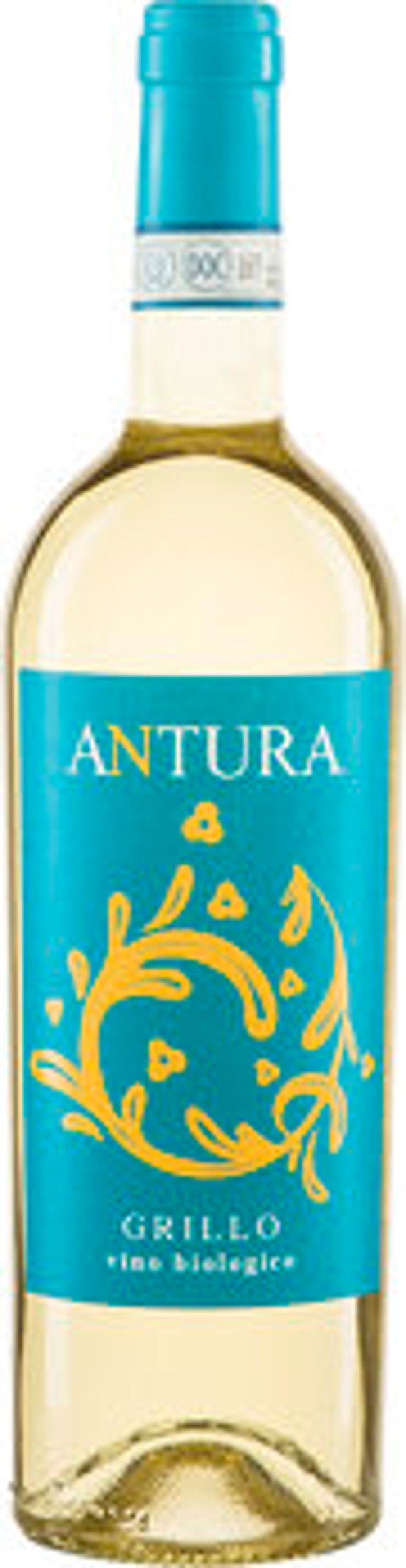 Produktfoto zu Antura Grillo Sicilia DOP 2024 Maggio Vini 0,75l