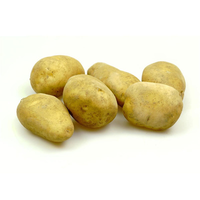 Produktfoto zu Frühkartoffel mehlig
