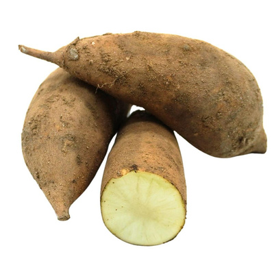 Produktfoto zu Yacón-Wurzel