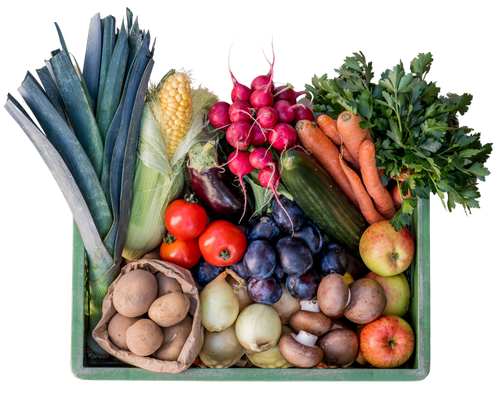  Eine grüne Gemüsekiste, gefüllt mit frischen Bio-Produkten.