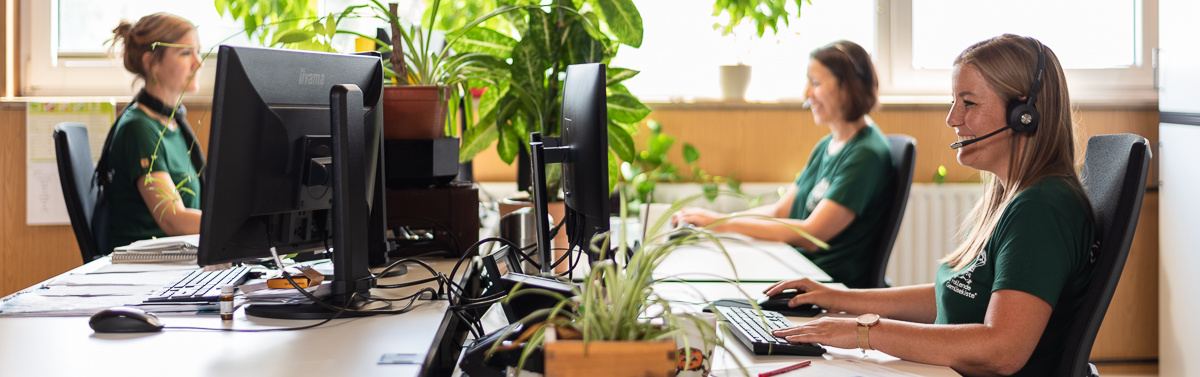 KI generiert: Personen arbeiten an Schreibtischen mit Computern, Pflanzen im Hintergrund. Büroumgebung.