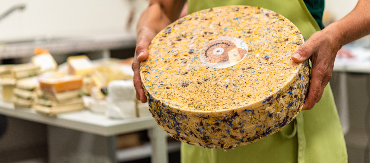 KI generiert: Das Bild zeigt ein hölzernes Brett mit einer Auswahl an verschiedenen Käsesorten, Trauben, Nüssen und Baguettescheiben. Daneben stehen zwei Weingläser, eines davon mit Rotwein gefüllt.