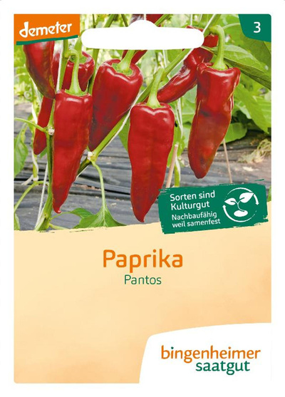 Produktfoto zu Saatgut, Paprika Pantos