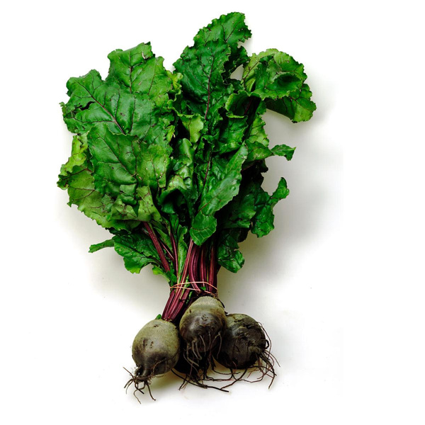 Produktfoto zu Rote Bete Bund