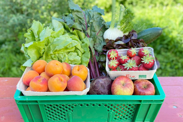 KI generiert: Das Bild bewirbt das 30-jährige Jubiläum eines Unternehmens und bietet die Chance, 30 Mal 3 Gewürzmischungen zu gewinnen. Es zeigt zudem eine Speise als Anregung, mit den bereitgestellten Rezepten zu kochen.
