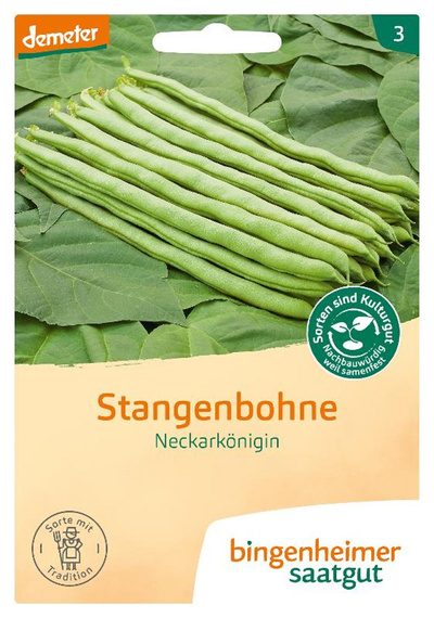 Produktfoto zu Saatgut, Stangenbohne Neckarkönigin
