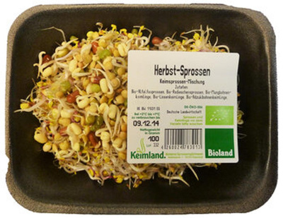 Produktfoto zu Herbstsprossen 100g