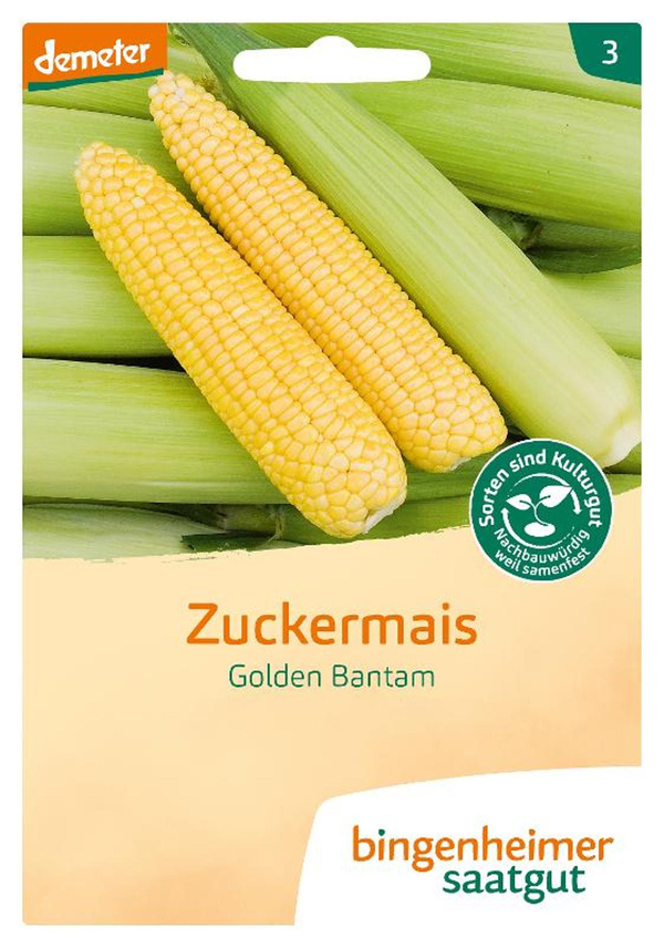 Produktfoto zu Saatgut, Zuckermais Golden Bantam