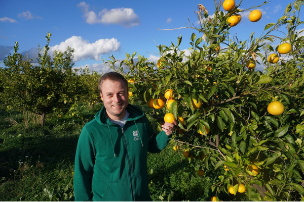 KI generiert: Das Bild zeigt mehrere junge Keimlinge, die in Erde gepflanzt sind. Der Hauptinhalt des Bildes ist das frische Wachstum der Pflanzen.