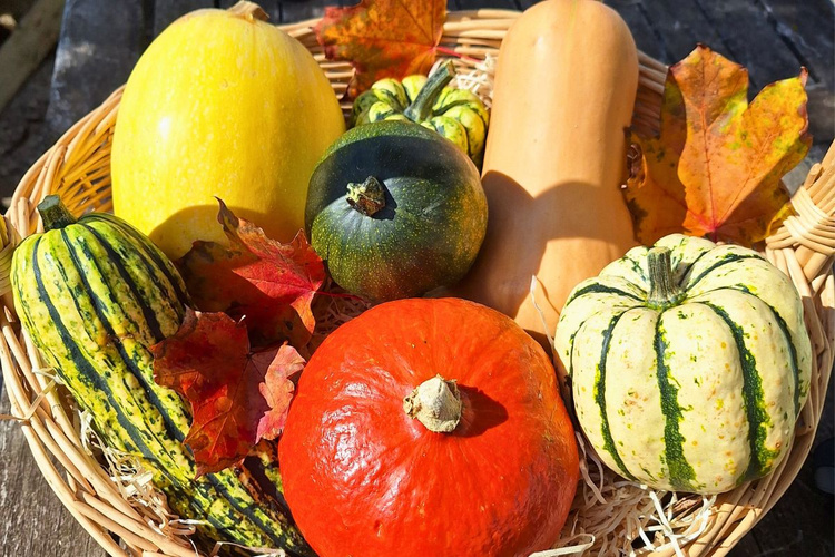 KI generiert: Ein Korb mit verschiedenen Kürbissen und Herbstblättern auf Holzuntergrund.