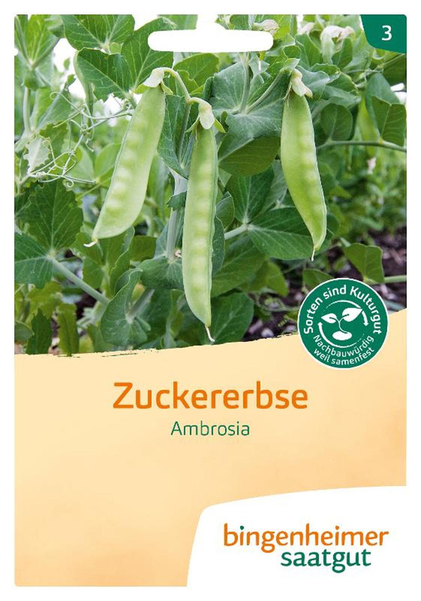 Produktfoto zu Saatgut, Zuckererbse Ambrosia