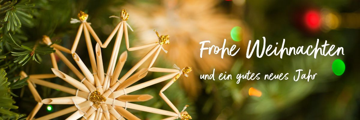 KI generiert: Das Bild zeigt eine Person, die einen Korb mit frischem Obst und Gemüse hält. Daneben befindet sich der Text "Wir bio liefern die Region seit 1995" und ein Hinweis auf das 30-jährige Jubiläum.